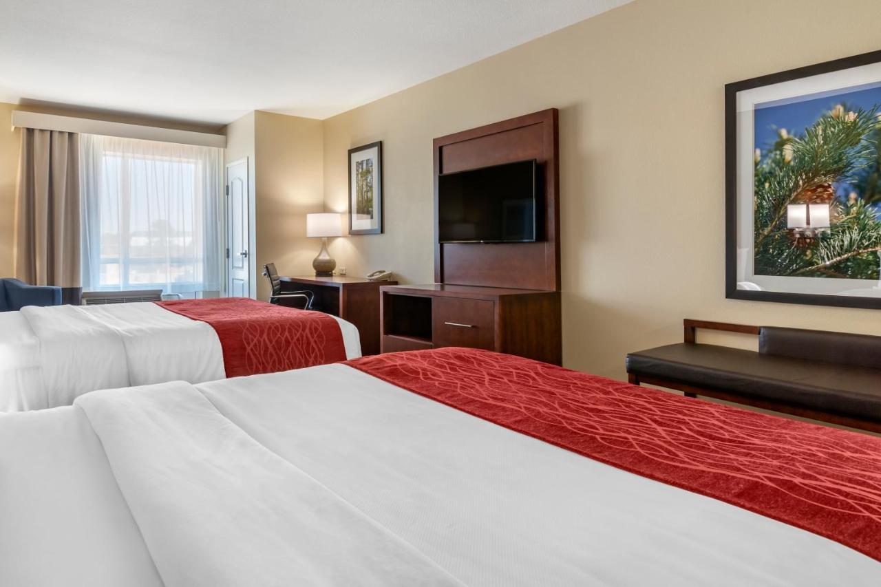Comfort Inn & Suites Tifton Chambre photo